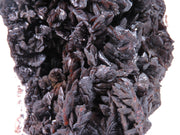 A large, impressive mineral specimen featuring a dense coverage of shiny, dark reddish-brown to black descloizite crystals in distinctive spearhead formations. The crystals, which show amber translucency, are arranged in a complex, overlapping pattern across the entire surface of the specimen. The piece is roughly triangular in shape when viewed from above, with the crystals forming dramatic, three-dimensional projections that create a textured, sculptural appearance.