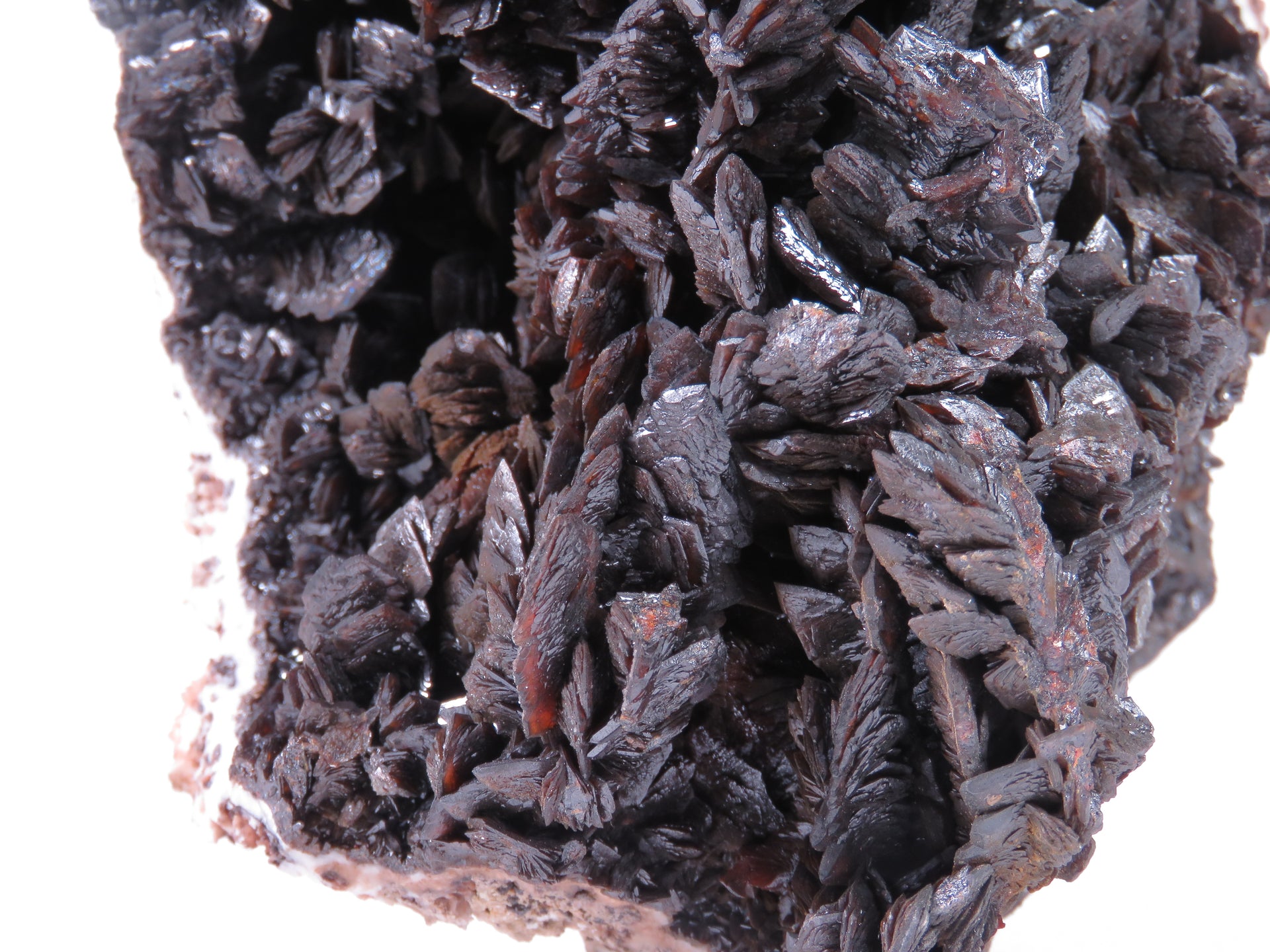 A large, impressive mineral specimen featuring a dense coverage of shiny, dark reddish-brown to black descloizite crystals in distinctive spearhead formations. The crystals, which show amber translucency, are arranged in a complex, overlapping pattern across the entire surface of the specimen. The piece is roughly triangular in shape when viewed from above, with the crystals forming dramatic, three-dimensional projections that create a textured, sculptural appearance.