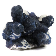 A spectacular blueberry fluorite specimen from Inner Mongolia featuring intense blue-green botryoidal formations and a prominent 5.5 cm cubic crystal, all dramatically mounted on pristine white quartz matrix. The exceptional three-dimensional arrangement and rare cubic growth make this 15 cm piece a superior example from this contemporary locality.