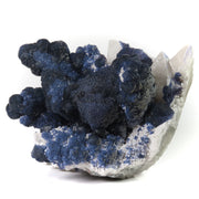 A spectacular blueberry fluorite specimen from Inner Mongolia featuring intense blue-green botryoidal formations and a prominent 5.5 cm cubic crystal, all dramatically mounted on pristine white quartz matrix. The exceptional three-dimensional arrangement and rare cubic growth make this 15 cm piece a superior example from this contemporary locality.