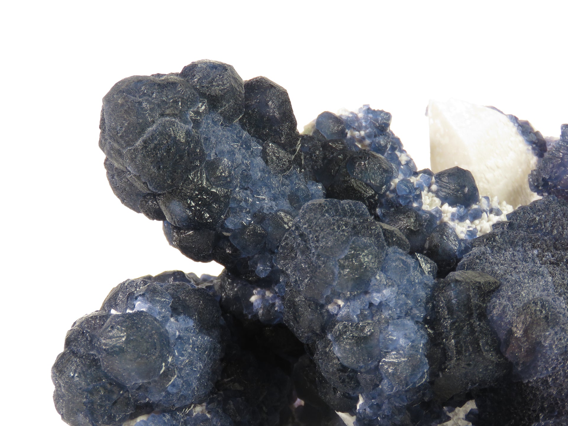 A spectacular blueberry fluorite specimen from Inner Mongolia featuring intense blue-green botryoidal formations and a prominent 5.5 cm cubic crystal, all dramatically mounted on pristine white quartz matrix. The exceptional three-dimensional arrangement and rare cubic growth make this 15 cm piece a superior example from this contemporary locality.