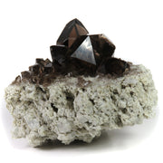 A remarkable smoky quartz specimen featuring two intergrown gwindel crystals with exceptional mirror-like luster and deep smoky coloration perched on pristine adularia matrix. The 8 cm piece from Switzerland's renowned Cavradi Gorge displays textbook closed gwindel formation, prismatic crystals with axial rotation, and represents an extraordinarily rare combination of alpine mineralogy.