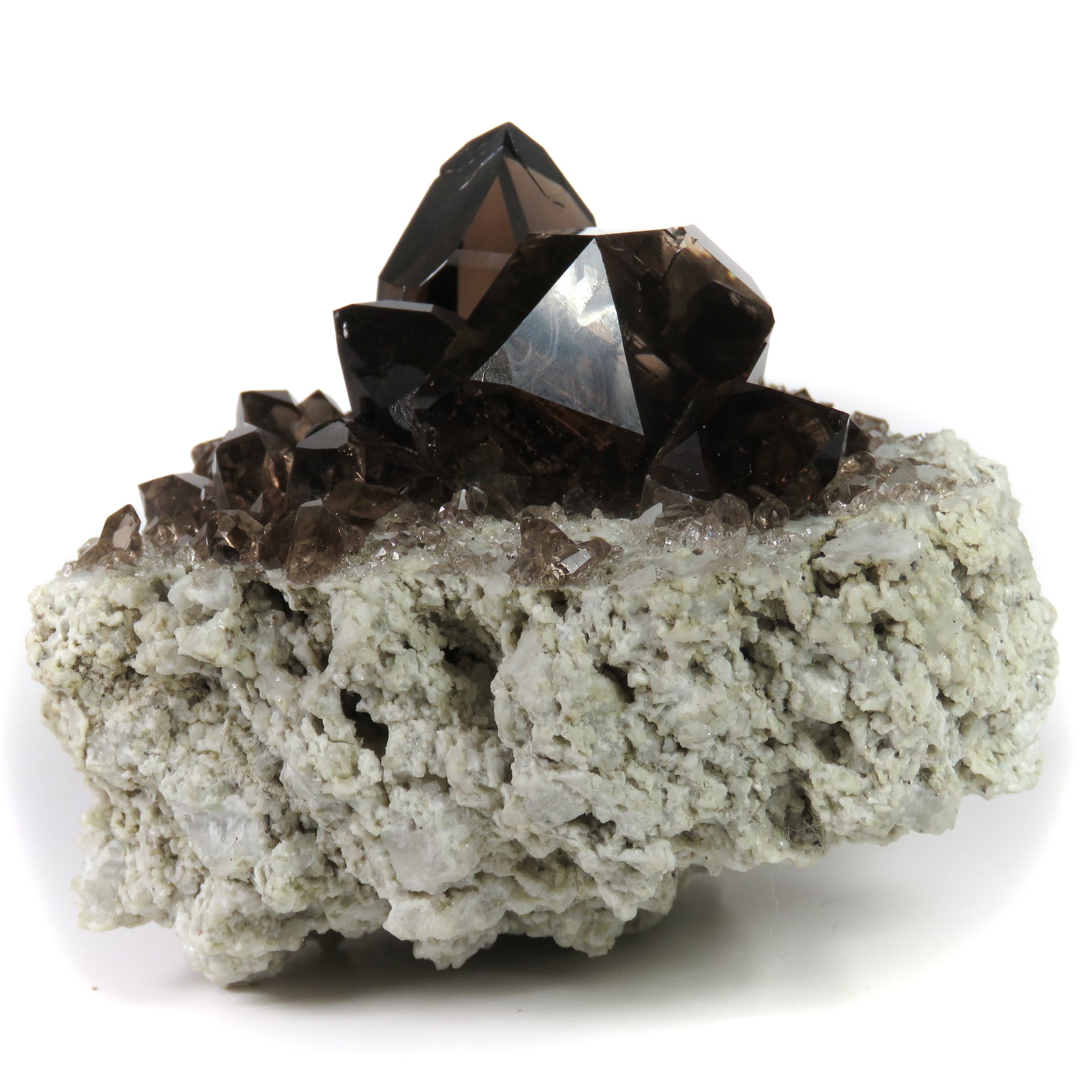 A remarkable smoky quartz specimen featuring two intergrown gwindel crystals with exceptional mirror-like luster and deep smoky coloration perched on pristine adularia matrix. The 8 cm piece from Switzerland's renowned Cavradi Gorge displays textbook closed gwindel formation, prismatic crystals with axial rotation, and represents an extraordinarily rare combination of alpine mineralogy.