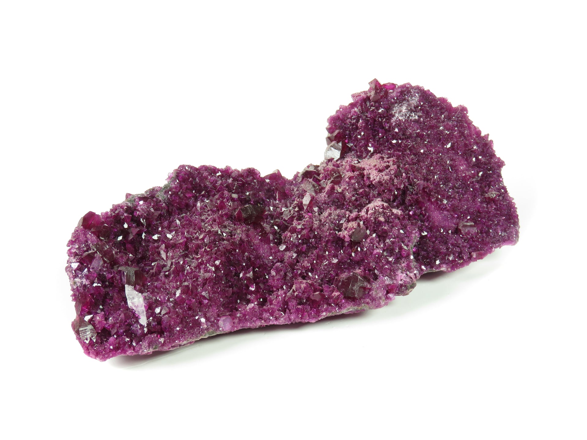 An exceptional plate of vibrant magenta-pink kämmererite crystals. The specimen is densely covered in crystallization, with larger hexagonal crystals up to 7mm scattered across a druzy surface. The rich purple-pink color is uniform across the piece, with metallic reflections from crystal faces creating a sparkling effect across the surface.