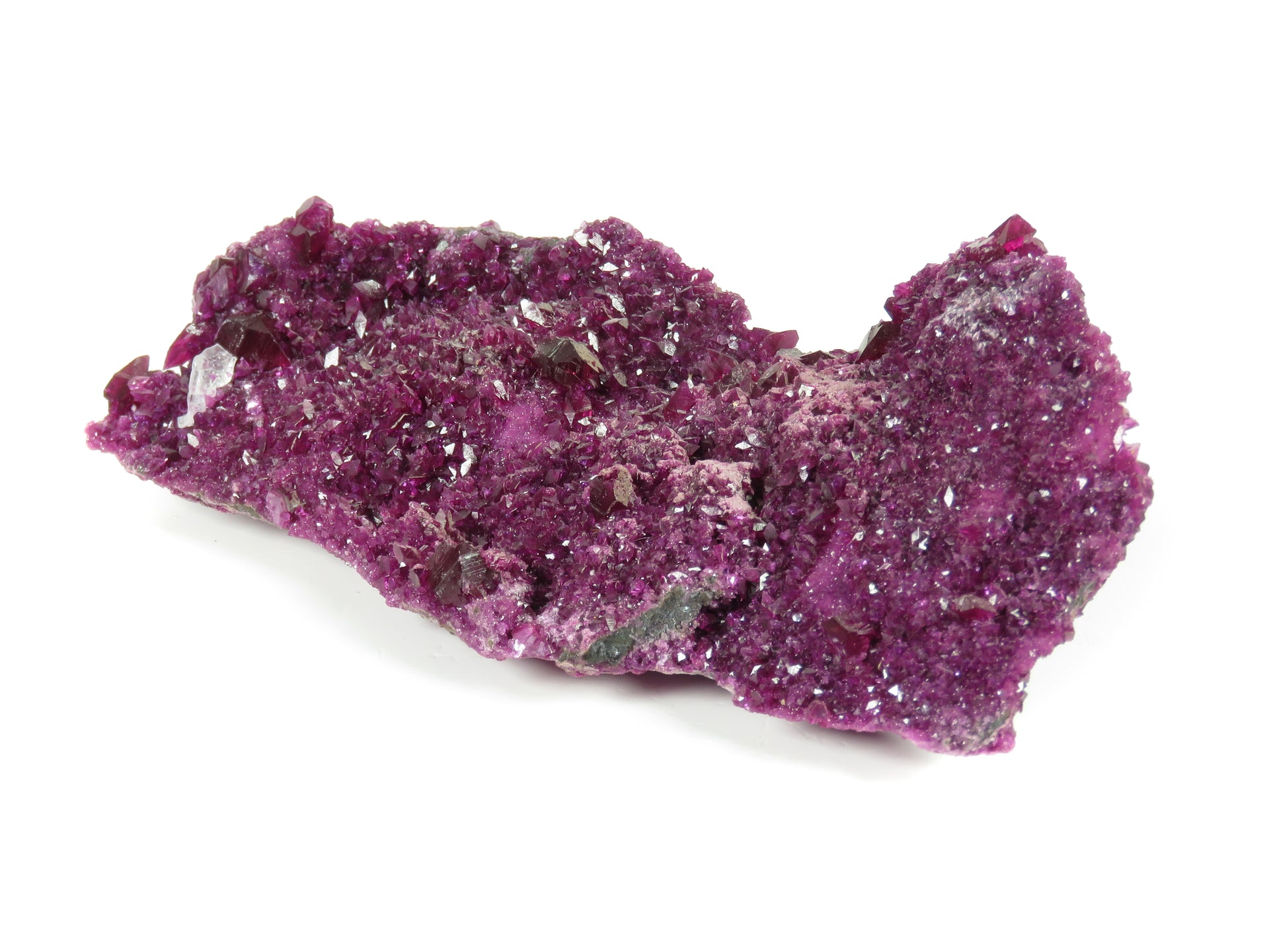 An exceptional plate of vibrant magenta-pink kämmererite crystals. The specimen is densely covered in crystallization, with larger hexagonal crystals up to 7mm scattered across a druzy surface. The rich purple-pink color is uniform across the piece, with metallic reflections from crystal faces creating a sparkling effect across the surface.