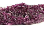 An exceptional plate of vibrant magenta-pink kämmererite crystals. The specimen is densely covered in crystallization, with larger hexagonal crystals up to 7mm scattered across a druzy surface. The rich purple-pink color is uniform across the piece, with metallic reflections from crystal faces creating a sparkling effect across the surface.