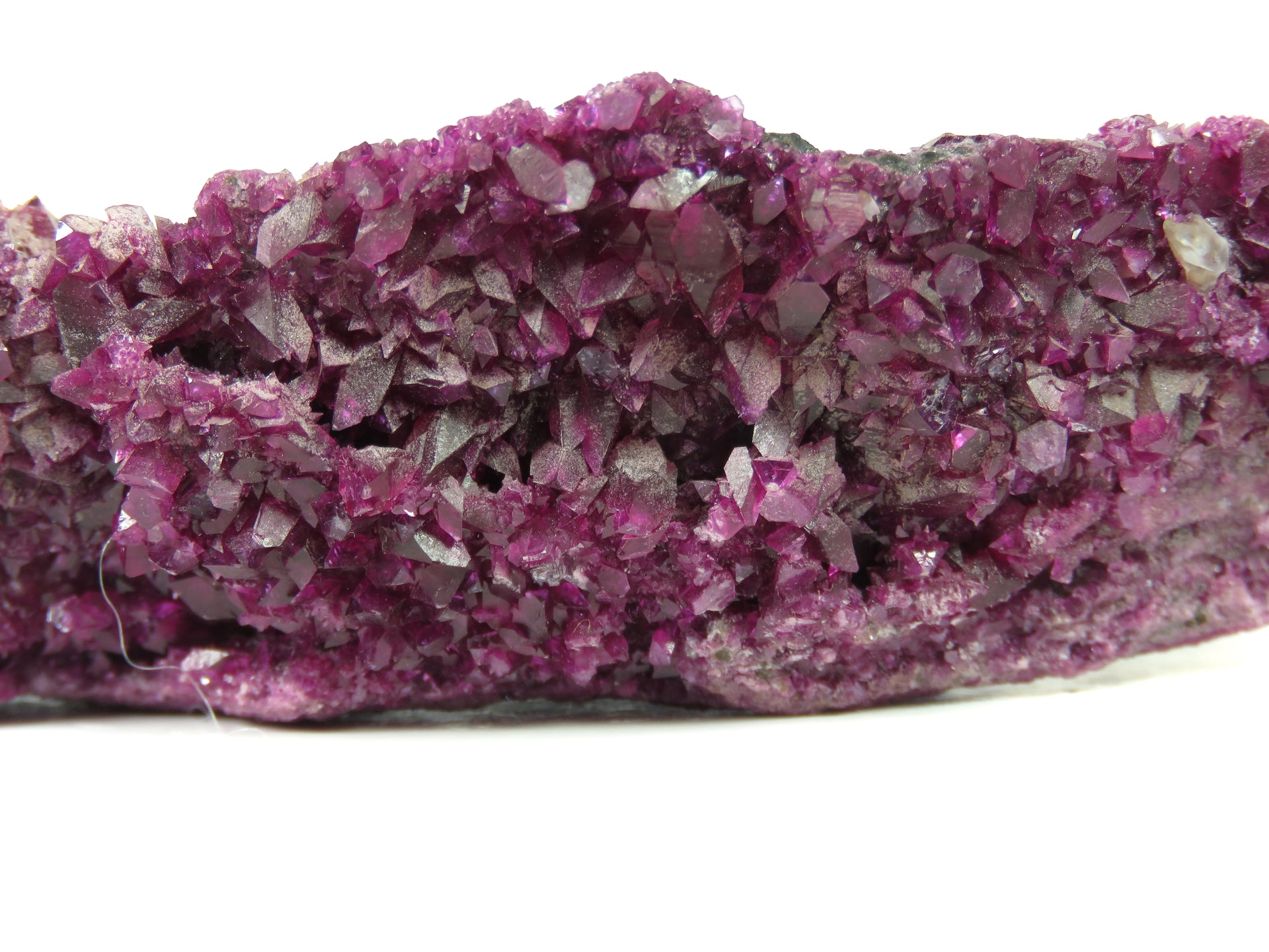 An exceptional plate of vibrant magenta-pink kämmererite crystals. The specimen is densely covered in crystallization, with larger hexagonal crystals up to 7mm scattered across a druzy surface. The rich purple-pink color is uniform across the piece, with metallic reflections from crystal faces creating a sparkling effect across the surface.