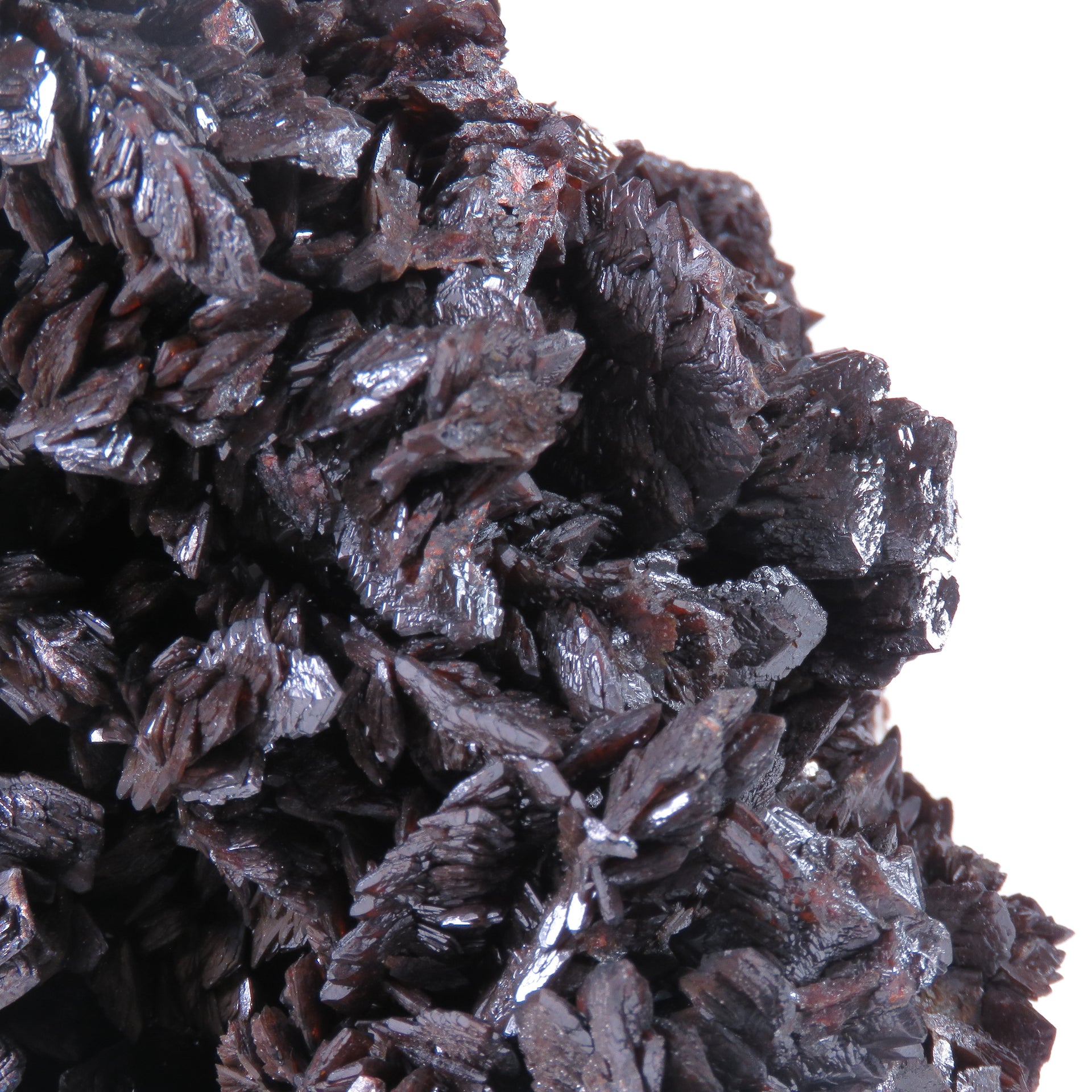 A large, impressive mineral specimen featuring a dense coverage of shiny, dark reddish-brown to black descloizite crystals in distinctive spearhead formations. The crystals, which show amber translucency, are arranged in a complex, overlapping pattern across the entire surface of the specimen. The piece is roughly triangular in shape when viewed from above, with the crystals forming dramatic, three-dimensional projections that create a textured, sculptural appearance.