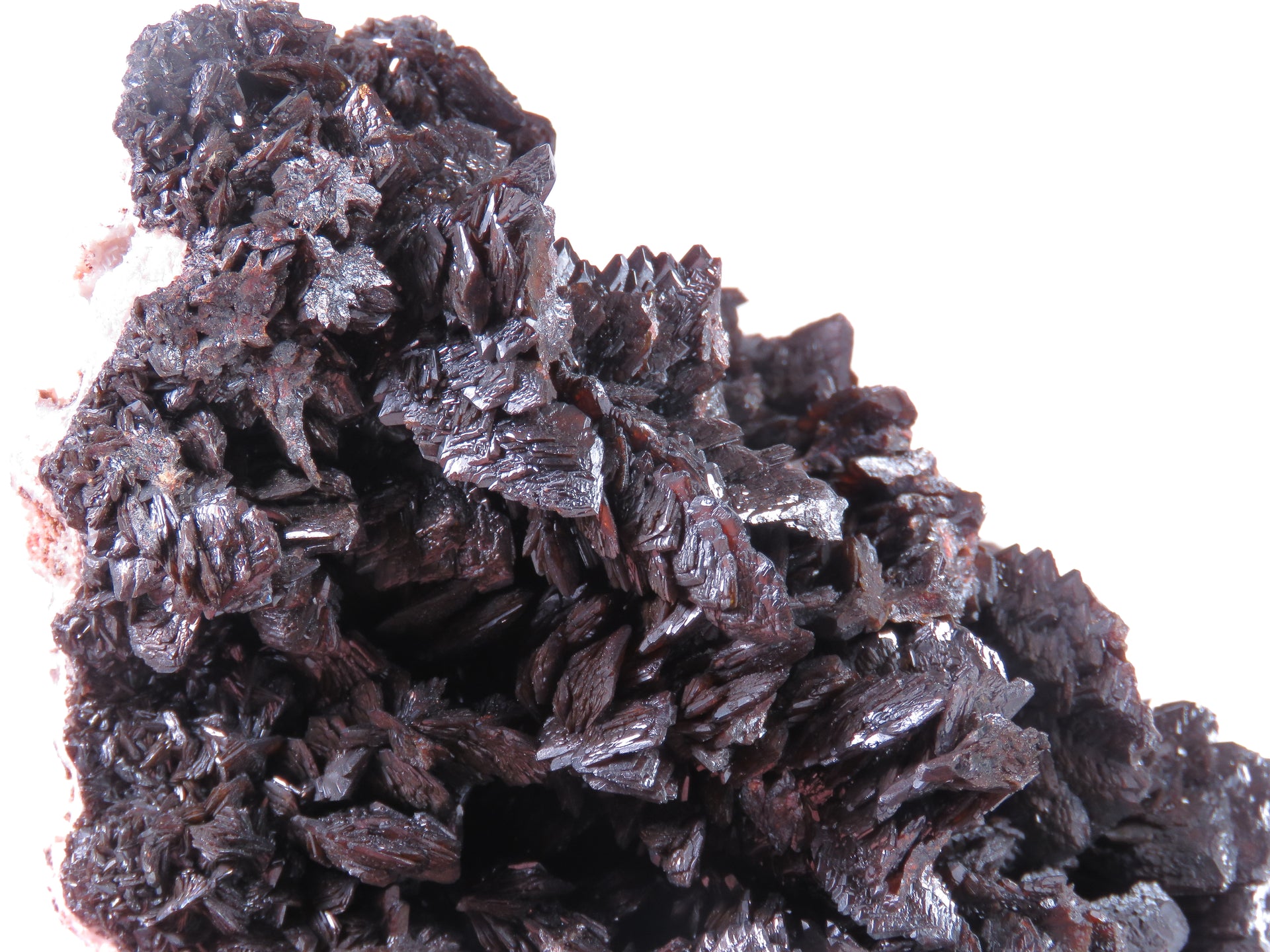 A large, impressive mineral specimen featuring a dense coverage of shiny, dark reddish-brown to black descloizite crystals in distinctive spearhead formations. The crystals, which show amber translucency, are arranged in a complex, overlapping pattern across the entire surface of the specimen. The piece is roughly triangular in shape when viewed from above, with the crystals forming dramatic, three-dimensional projections that create a textured, sculptural appearance.