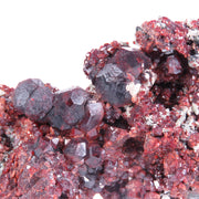 A superior grossular specimen featuring well-formed trapezohedrons with brilliant red coloration perched on dark matrix with mineral associates. The 8 cm specimen from Akhmatovskaya Kop' displays exceptional crystal definition, distinct color zoning under varied lighting, and represents the finest quality from this locality.