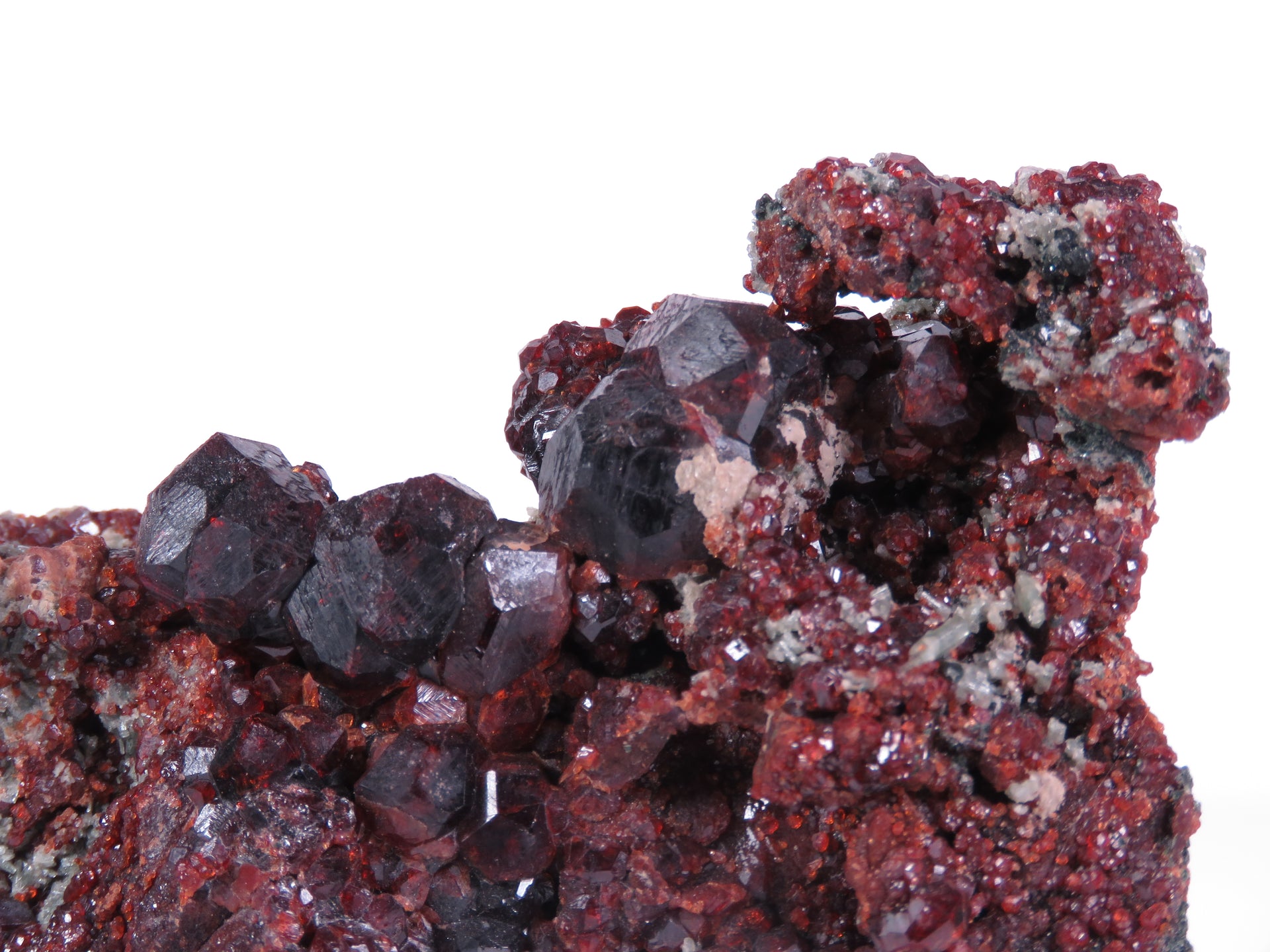 A superior grossular specimen featuring well-formed trapezohedrons with brilliant red coloration perched on dark matrix with mineral associates. The 8 cm specimen from Akhmatovskaya Kop' displays exceptional crystal definition, distinct color zoning under varied lighting, and represents the finest quality from this locality.