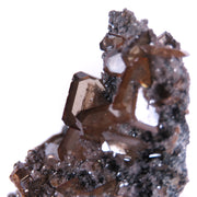 A wonderful wulfenite specimen featuring dozens of sharp, light brown prismatic crystals with exceptional clarity and beveled edges on dark matrix. The 7 cm piece from Namibia's famous Tsumeb Mine displays pristine blade-like crystals, distinctive coloration, and exhibits remarkable prismatic light diffraction.