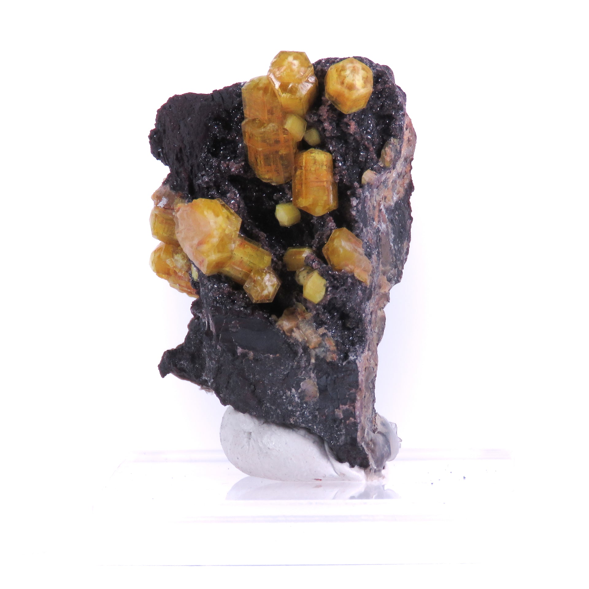 Multiple honey-yellow ettringite crystals projecting from a dark, nearly black manganese-rich matrix. The hexagonal crystals vary in size and are arranged in an eye-catching three-dimensional pattern against the contrasting dark background, with a few showing minor damage.