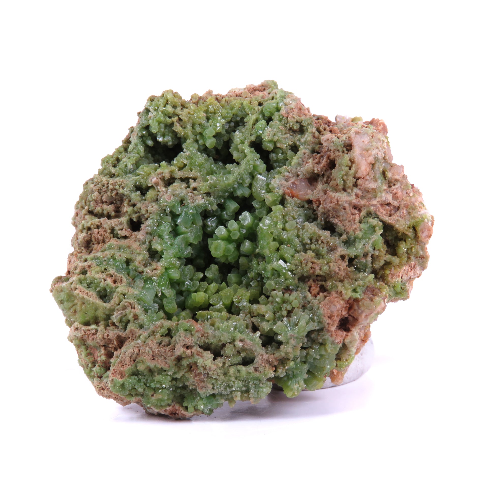 A charming pyromorphite specimen featuring barrel-shaped crystals with vibrant grass-green color contrasting against salmon-pink matrix. The 4 cm specimen from Germany's historic Erzgebirge region displays excellent crystal formation, aesthetic clustering, and represents a fine example of this lesser-known Saxon locality.