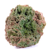 A charming pyromorphite specimen featuring barrel-shaped crystals with vibrant grass-green color contrasting against salmon-pink matrix. The 4 cm specimen from Germany's historic Erzgebirge region displays excellent crystal formation, aesthetic clustering, and represents a fine example of this lesser-known Saxon locality.