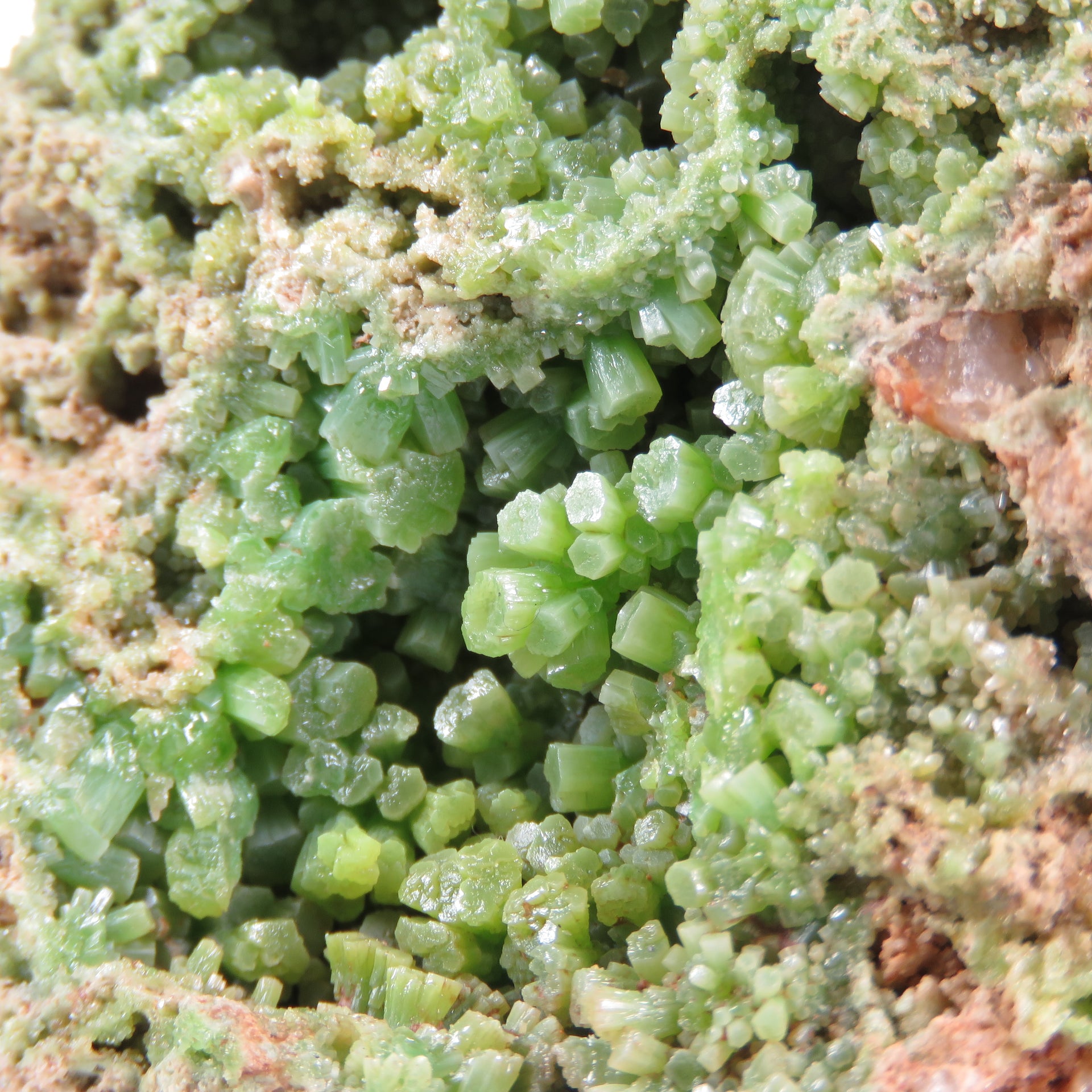 A charming pyromorphite specimen featuring barrel-shaped crystals with vibrant grass-green color contrasting against salmon-pink matrix. The 4 cm specimen from Germany's historic Erzgebirge region displays excellent crystal formation, aesthetic clustering, and represents a fine example of this lesser-known Saxon locality.