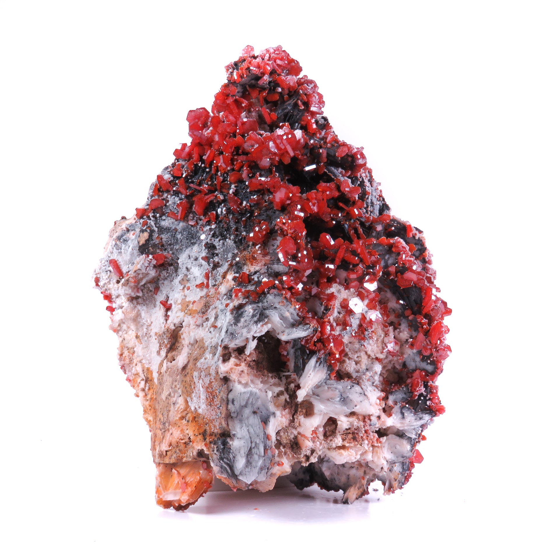 A striking mineral specimen featuring vibrant red vanadinite crystals perched atop distinctive bladed barite formations on a substantial matrix. The impressive piece showcases an elegant interplay of textures and colors, with dark mineral coatings on the barite blades creating dramatic contrast against the bright vanadinite crystals.