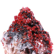 A striking mineral specimen featuring vibrant red vanadinite crystals perched atop distinctive bladed barite formations on a substantial matrix. The impressive piece showcases an elegant interplay of textures and colors, with dark mineral coatings on the barite blades creating dramatic contrast against the bright vanadinite crystals.