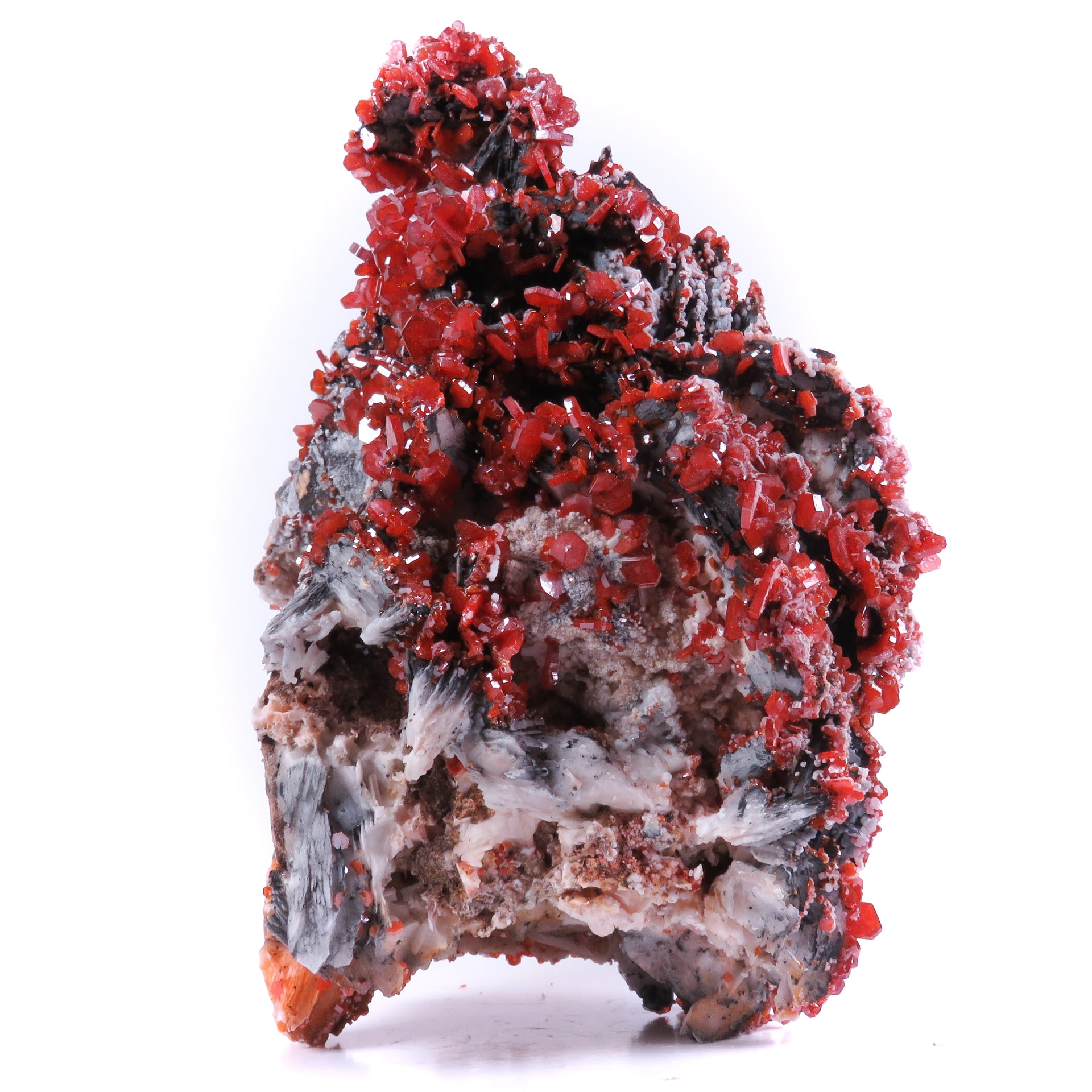 A striking mineral specimen featuring vibrant red vanadinite crystals perched atop distinctive bladed barite formations on a substantial matrix. The impressive piece showcases an elegant interplay of textures and colors, with dark mineral coatings on the barite blades creating dramatic contrast against the bright vanadinite crystals.