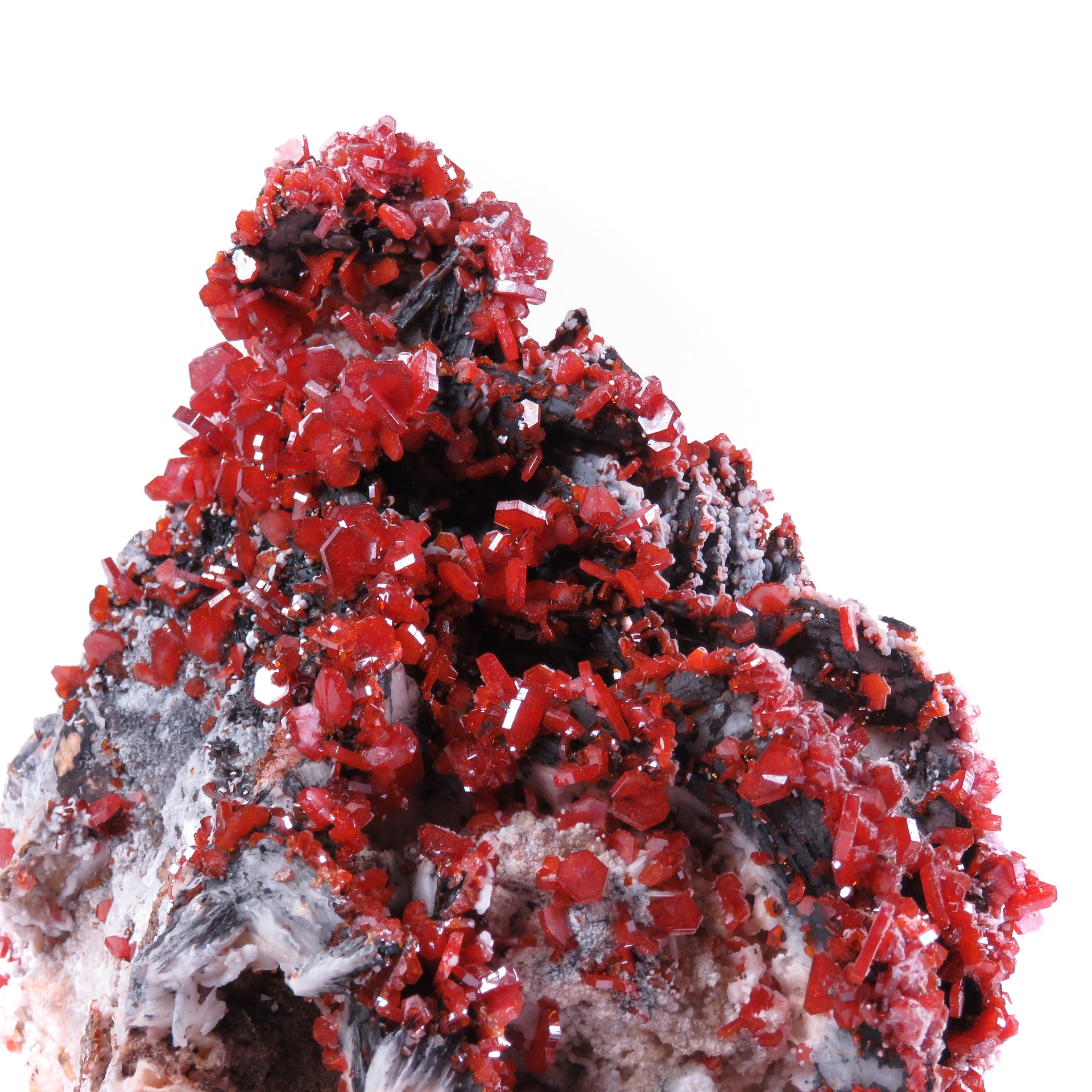 A striking mineral specimen featuring vibrant red vanadinite crystals perched atop distinctive bladed barite formations on a substantial matrix. The impressive piece showcases an elegant interplay of textures and colors, with dark mineral coatings on the barite blades creating dramatic contrast against the bright vanadinite crystals.