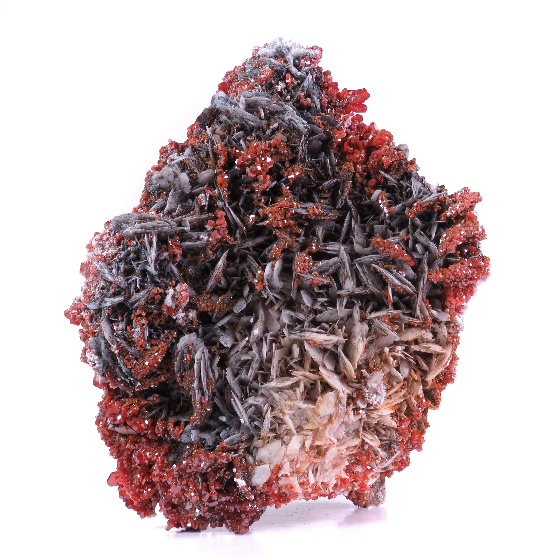 A striking mineral specimen featuring vibrant red vanadinite crystals perched atop distinctive bladed barite formations on a substantial matrix. The impressive piece showcases an elegant interplay of textures and colors, with dark mineral coatings on the barite blades creating dramatic contrast against the bright vanadinite crystals.
