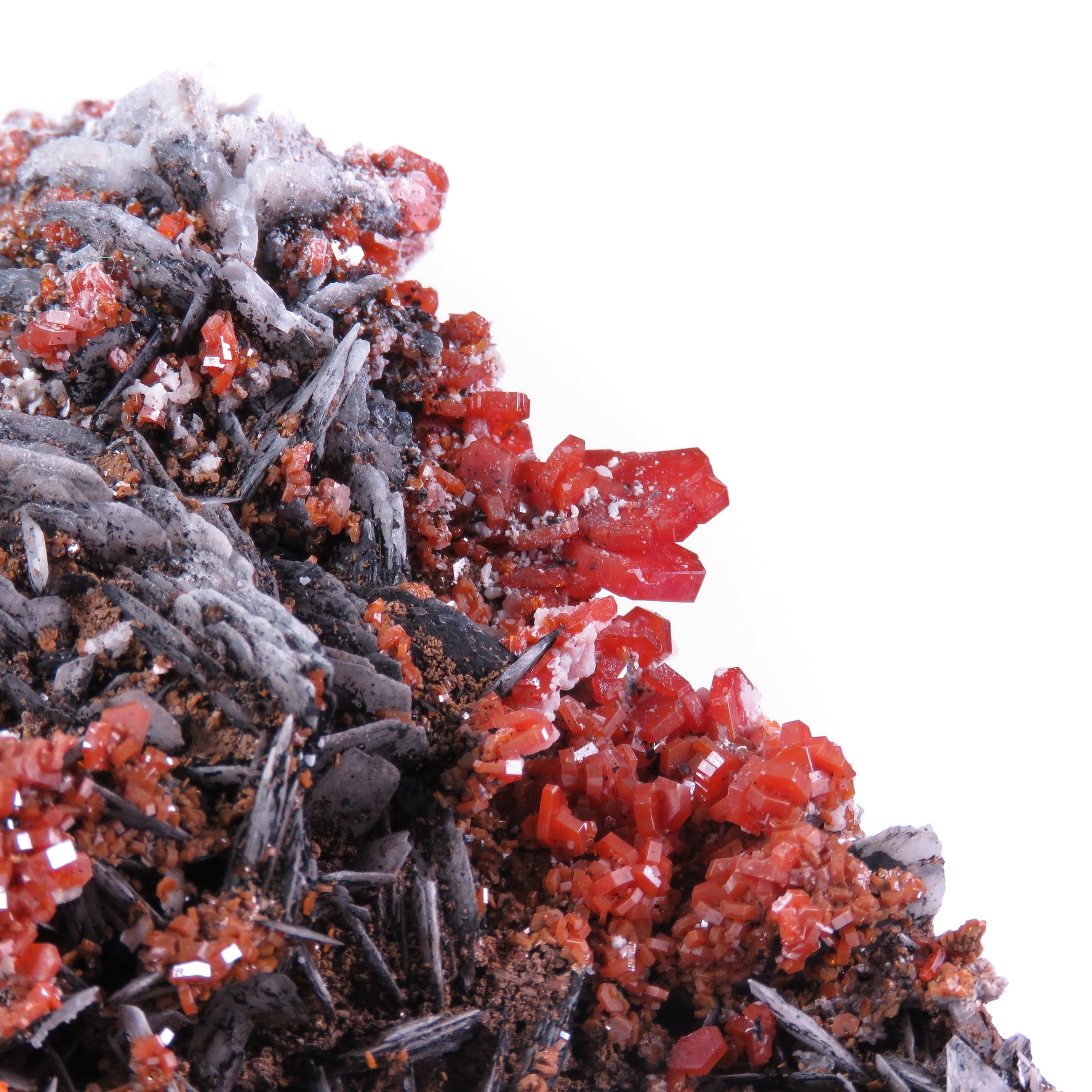 A striking mineral specimen featuring vibrant red vanadinite crystals perched atop distinctive bladed barite formations on a substantial matrix. The impressive piece showcases an elegant interplay of textures and colors, with dark mineral coatings on the barite blades creating dramatic contrast against the bright vanadinite crystals.