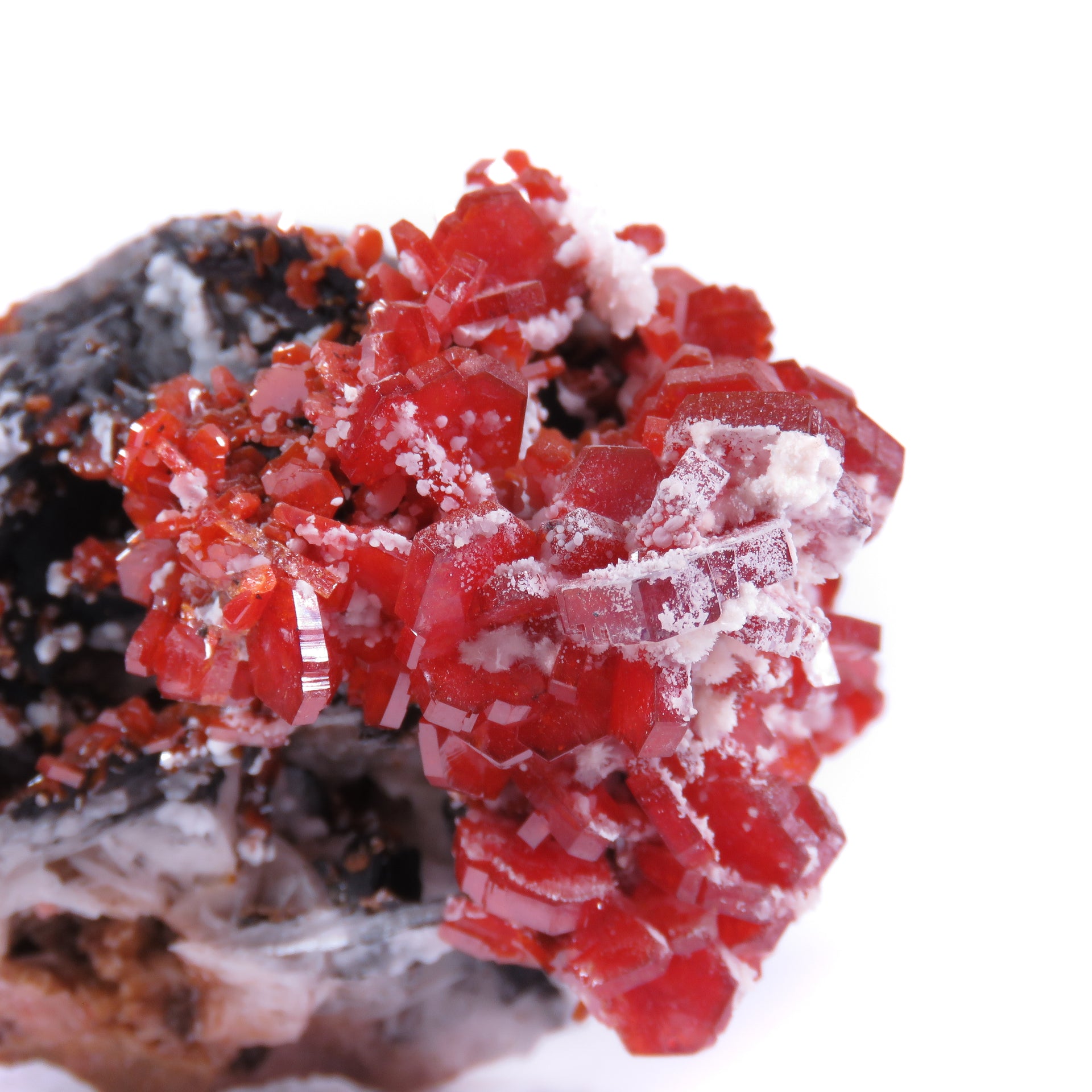 A superior specimen featuring two dramatic clusters of blood-red vanadinite crystals perched on barite matrix, with distinctive dark goethite and white calcite coatings creating striking contrast. The large-scale crystals display exceptional color saturation and complex mineral associations, producing a visually compelling interplay of hues and textures throughout the piece.