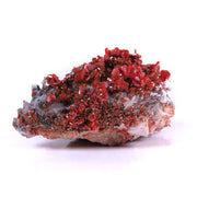 A spectacular specimen featuring abundant bright red vanadinite crystals elegantly distributed across a foundation of light-colored barite. The remarkable piece displays an intricate layering effect, with epitaxial dark mineral coating on the barite creating sophisticated contrast and depth throughout the composition.