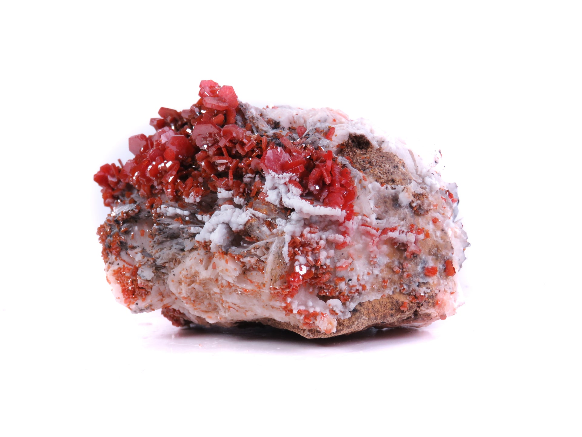 A spectacular specimen featuring abundant bright red vanadinite crystals elegantly distributed across a foundation of light-colored barite. The remarkable piece displays an intricate layering effect, with epitaxial dark mineral coating on the barite creating sophisticated contrast and depth throughout the composition.