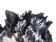 A dramatic cluster of black epidote crystals arranged in radiating, fan-shaped sprays. The crystals show exceptional vitreous luster with mirror-like reflective surfaces, and form multiple diverging groups against a small area of white matrix. The specimen shows a distinctive sculptural quality with the crystals spreading outward in an artful arrangement.