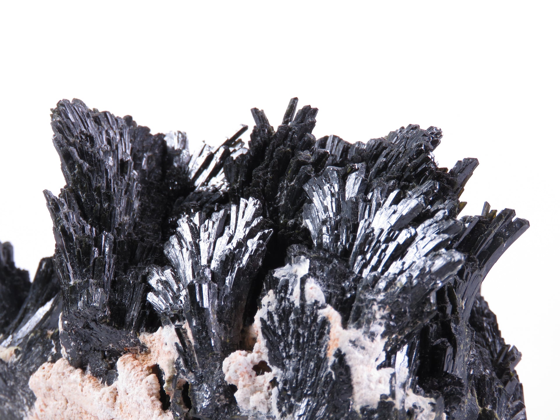 A dramatic cluster of black epidote crystals arranged in radiating, fan-shaped sprays. The crystals show exceptional vitreous luster with mirror-like reflective surfaces, and form multiple diverging groups against a small area of white matrix. The specimen shows a distinctive sculptural quality with the crystals spreading outward in an artful arrangement.