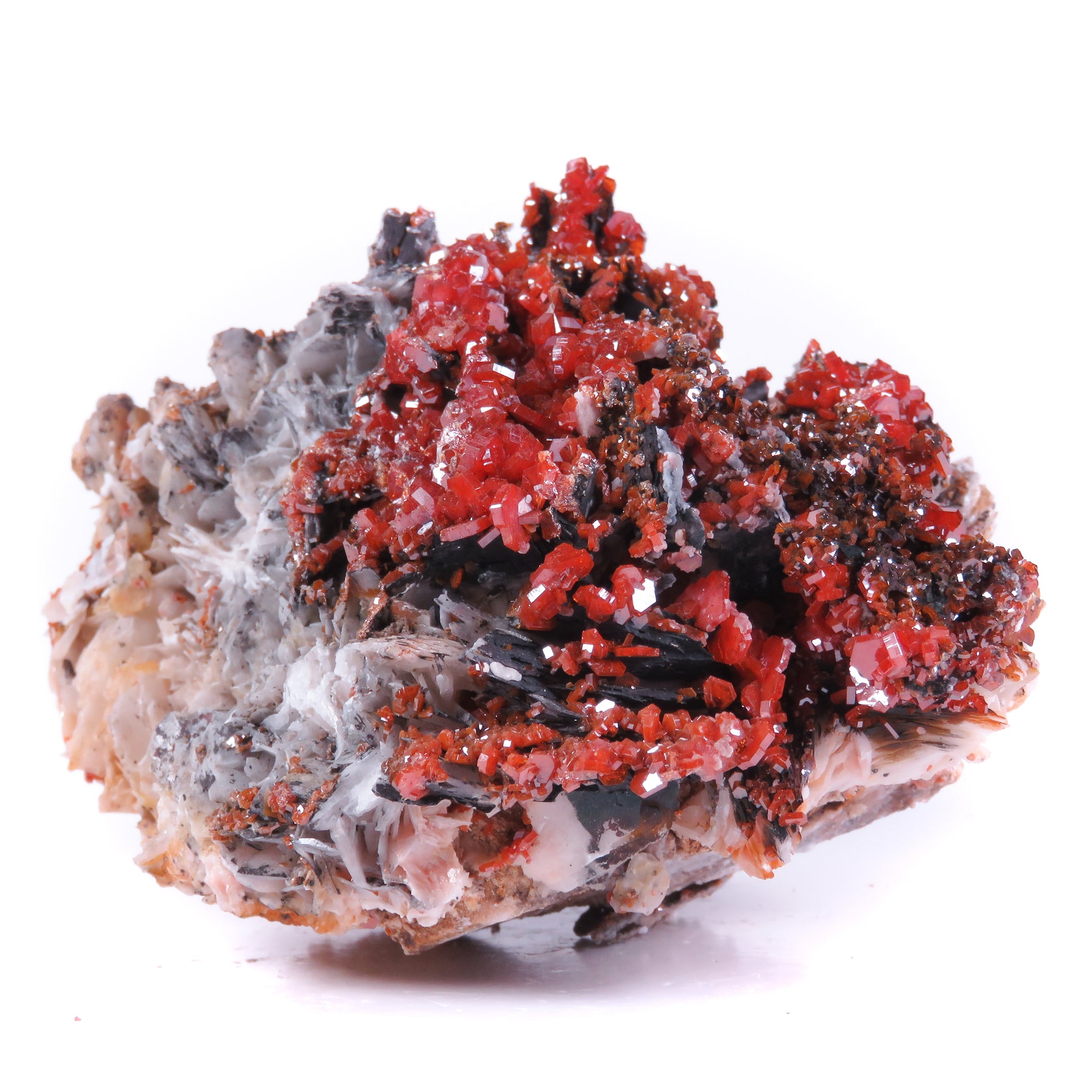 Tons of bright red vanadinite blades, together with tons of sharp light barite blades, with another darker mineral coating much of the latter. Fantastic visuals!