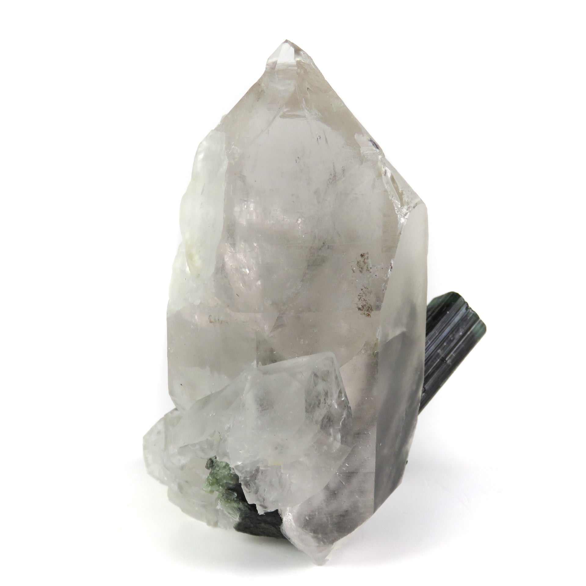 A large, translucent reverse scepter quartz crystal containing embedded blue-green tourmaline crystals. The complex quartz formation shows rehealed surfaces and a pristine termination, with patches of white albite visible. The tourmaline crystals can be seen through the clear portions of the host quartz, creating a striking inclusion specimen.