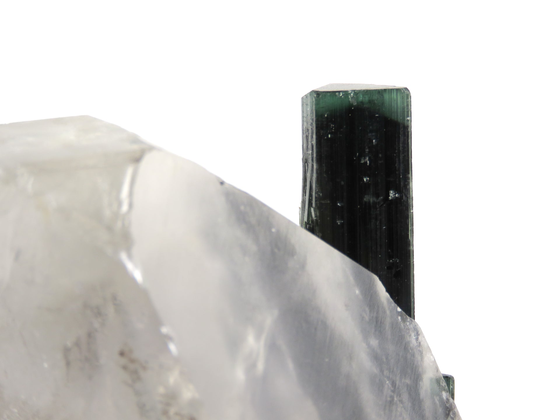 A large, translucent reverse scepter quartz crystal containing embedded blue-green tourmaline crystals. The complex quartz formation shows rehealed surfaces and a pristine termination, with patches of white albite visible. The tourmaline crystals can be seen through the clear portions of the host quartz, creating a striking inclusion specimen.