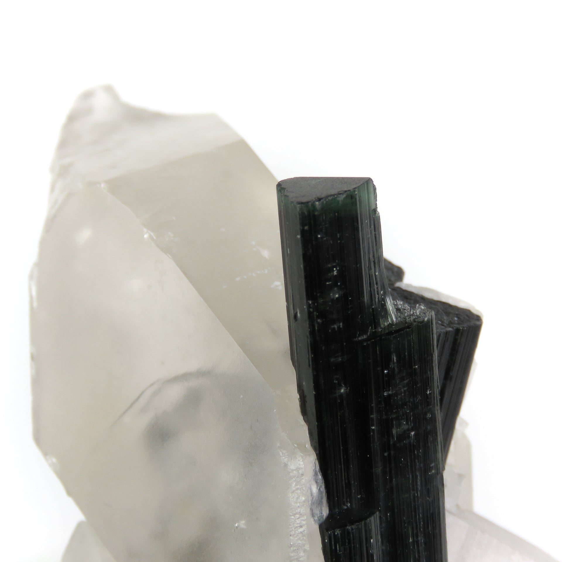 A large, translucent reverse scepter quartz crystal containing embedded blue-green tourmaline crystals. The complex quartz formation shows rehealed surfaces and a pristine termination, with patches of white albite visible. The tourmaline crystals can be seen through the clear portions of the host quartz, creating a striking inclusion specimen.