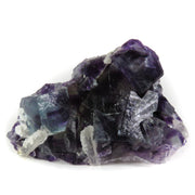 A superior fluorite specimen featuring intergrown cubic crystals with dramatic color zoning from deep purple to vivid blue when backlit. The 4 cm plate displays exceptional transparency, distinctive blue-zoned cube placement, and shows the characteristic fine crystal formation of this notable locality.