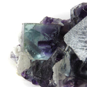 A superior fluorite specimen featuring intergrown cubic crystals with dramatic color zoning from deep purple to vivid blue when backlit. The 4 cm plate displays exceptional transparency, distinctive blue-zoned cube placement, and shows the characteristic fine crystal formation of this notable locality.
