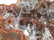 A striking mineral specimen featuring transparent, tabular celestine crystals jutting out from a rusty-red hematite-stained matrix. The crystals are glassy and well-formed, arranged in a bristling formation across the specimen's surface. The dramatic contrast between the clear, prismatic crystals and the deep red-brown matrix creates a natural sculptural effect.