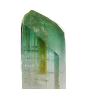 A superior Nigerian tourmaline specimen featuring a large doubly-terminated floater crystal with dramatic color zoning from vibrant green through gem-clear achroite to blue-green and rich pink sections. The remarkable crystal displays exceptional transparency, pristine terminations, and a complex progression of colors that make it a significant example of the latest finds from this prolific locality.