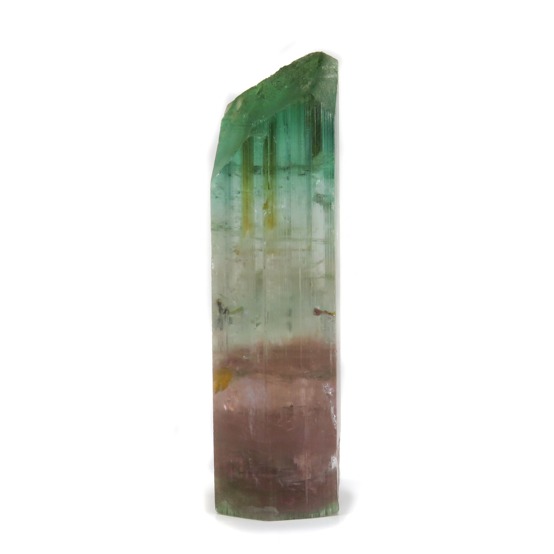 A superior Nigerian tourmaline specimen featuring a large doubly-terminated floater crystal with dramatic color zoning from vibrant green through gem-clear achroite to blue-green and rich pink sections. The remarkable crystal displays exceptional transparency, pristine terminations, and a complex progression of colors that make it a significant example of the latest finds from this prolific locality.