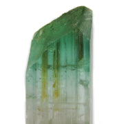 A superior Nigerian tourmaline specimen featuring a large doubly-terminated floater crystal with dramatic color zoning from vibrant green through gem-clear achroite to blue-green and rich pink sections. The remarkable crystal displays exceptional transparency, pristine terminations, and a complex progression of colors that make it a significant example of the latest finds from this prolific locality.