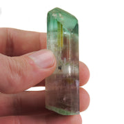 A superior Nigerian tourmaline specimen featuring a large doubly-terminated floater crystal with dramatic color zoning from vibrant green through gem-clear achroite to blue-green and rich pink sections. The remarkable crystal displays exceptional transparency, pristine terminations, and a complex progression of colors that make it a significant example of the latest finds from this prolific locality.