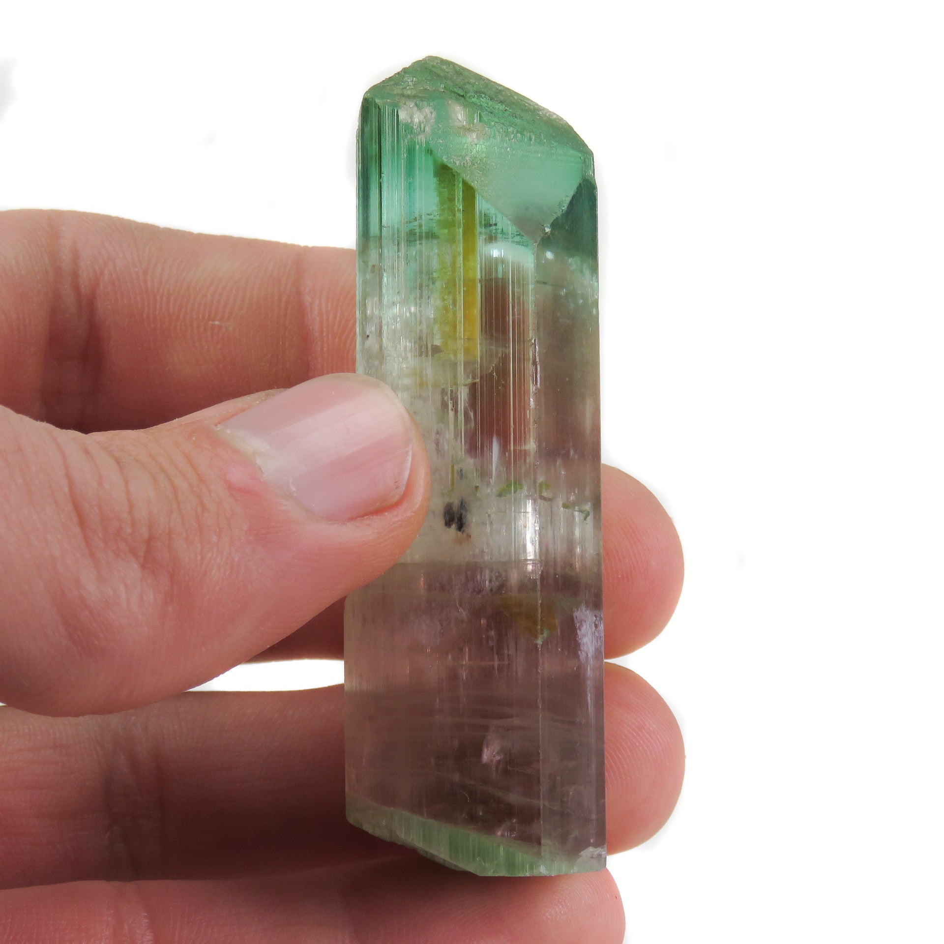 A superior Nigerian tourmaline specimen featuring a large doubly-terminated floater crystal with dramatic color zoning from vibrant green through gem-clear achroite to blue-green and rich pink sections. The remarkable crystal displays exceptional transparency, pristine terminations, and a complex progression of colors that make it a significant example of the latest finds from this prolific locality.
