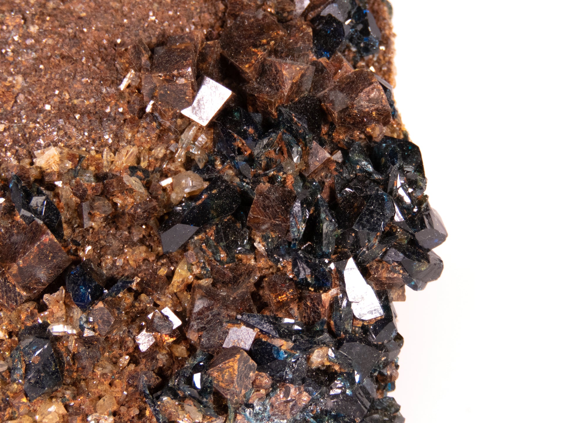 A superior lazulite specimen featuring deep blue crystals clustered harmoniously with lustrous brown siderite and clear quartz. The 7 cm matrix display shows excellent balance between minerals, clean crystal development, and presents attractively from multiple angles.