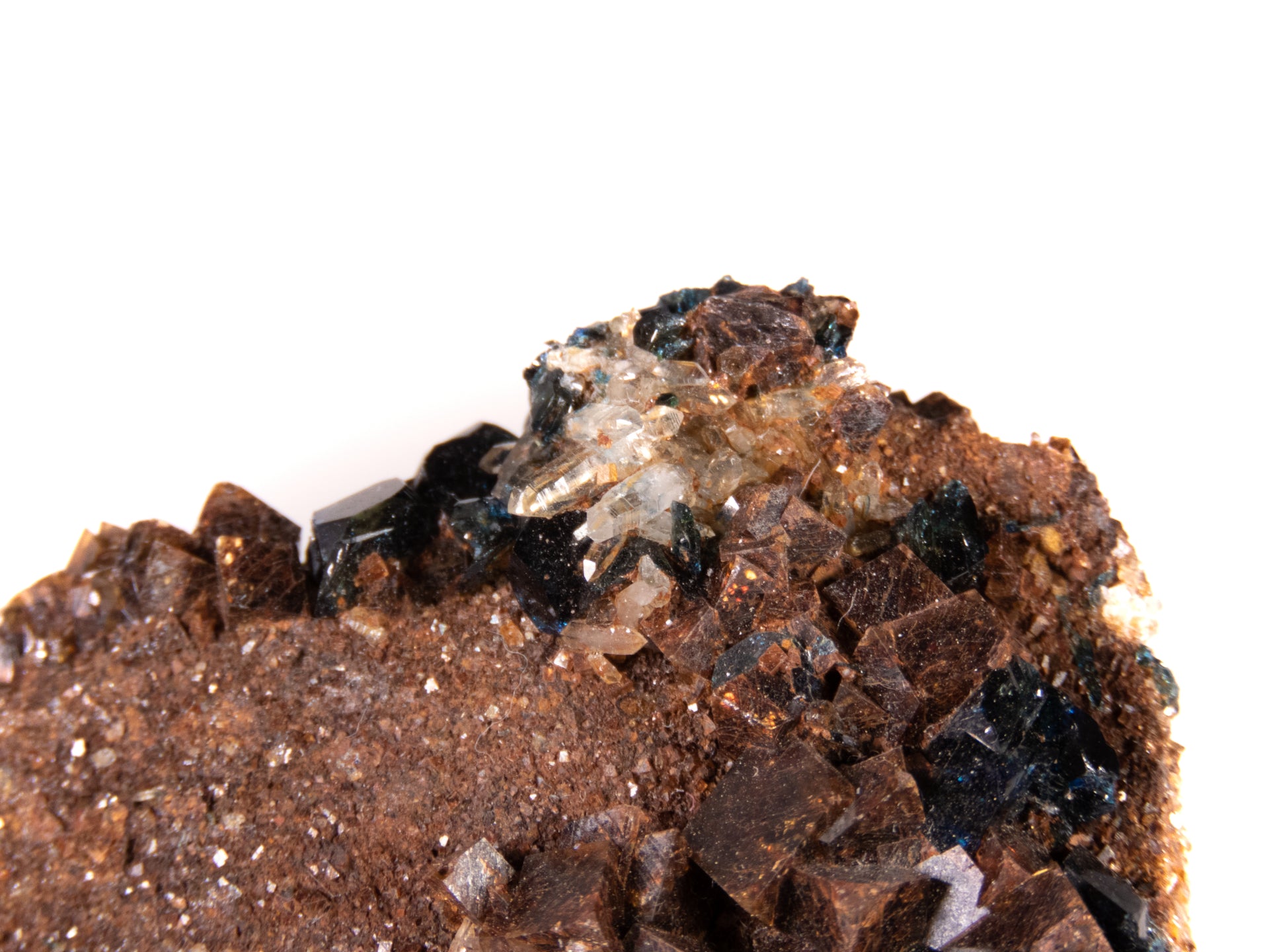 A superior lazulite specimen featuring deep blue crystals clustered harmoniously with lustrous brown siderite and clear quartz. The 7 cm matrix display shows excellent balance between minerals, clean crystal development, and presents attractively from multiple angles.
