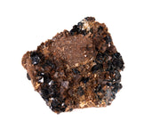 A superior lazulite specimen featuring deep blue crystals clustered harmoniously with lustrous brown siderite and clear quartz. The 7 cm matrix display shows excellent balance between minerals, clean crystal development, and presents attractively from multiple angles.