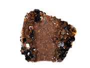 A superior lazulite specimen featuring deep blue crystals clustered harmoniously with lustrous brown siderite and clear quartz. The 7 cm matrix display shows excellent balance between minerals, clean crystal development, and presents attractively from multiple angles.