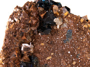 A superior lazulite specimen featuring deep blue crystals clustered harmoniously with lustrous brown siderite and clear quartz. The 7 cm matrix display shows excellent balance between minerals, clean crystal development, and presents attractively from multiple angles.