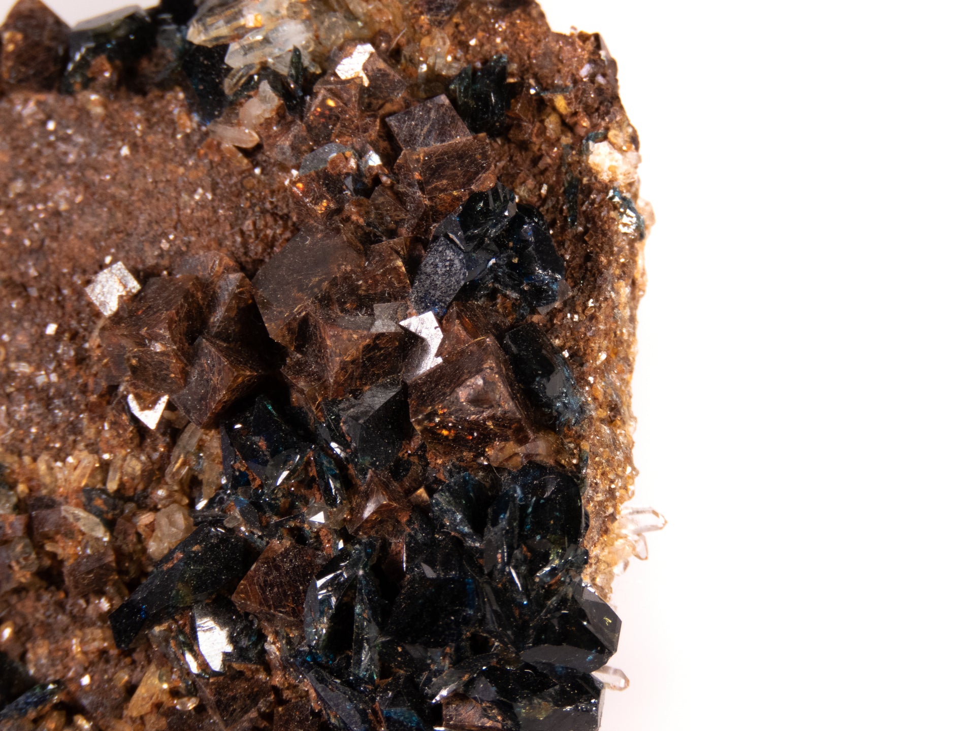 A superior lazulite specimen featuring deep blue crystals clustered harmoniously with lustrous brown siderite and clear quartz. The 7 cm matrix display shows excellent balance between minerals, clean crystal development, and presents attractively from multiple angles.