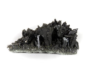 A horizontal specimen of dark, lustrous epidote crystals arranged in multiple fan-shaped sprays emerging from a pale gray matrix base. The crystals show a distinctive black color and highly reflective surfaces, forming a dramatic array of upward-reaching formations along the matrix.